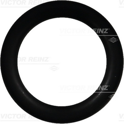 VICTOR REINZ Pakningsring 407639100 for MAN MERCEDES-BENZ
