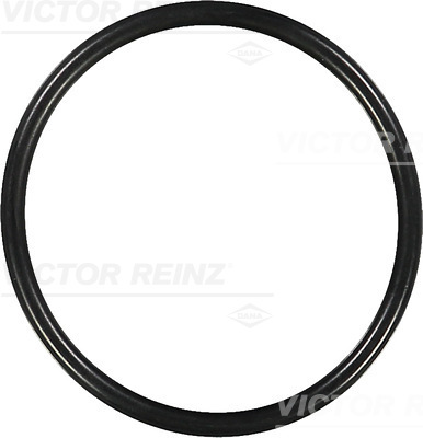 VICTOR REINZ Pakningsring 407643900