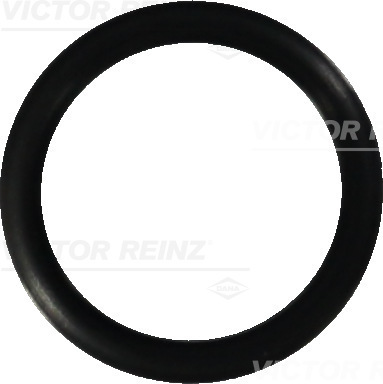 VICTOR REINZ Pakningsring 407644900 for MERCEDES-BENZ