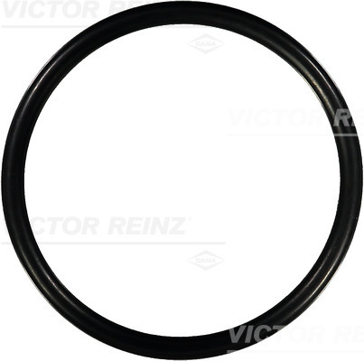 VICTOR REINZ Pakningsring 407646300