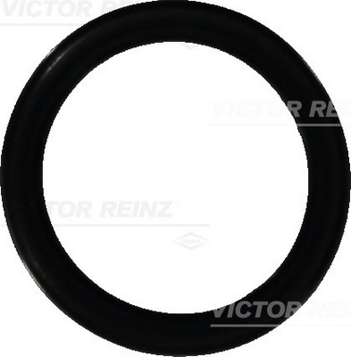 VICTOR REINZ Pakningsring 407647300 for VAG