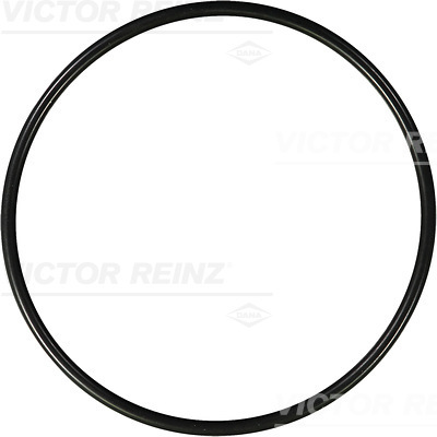 VICTOR REINZ Pakningsring 407657000 for BMW
