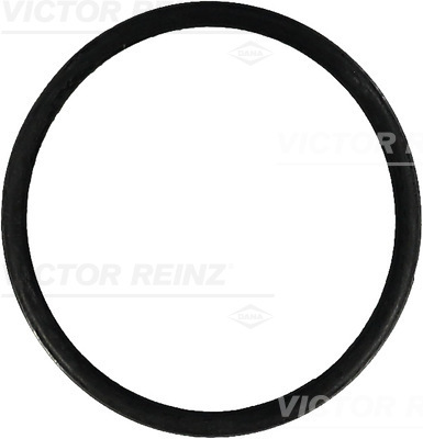 VICTOR REINZ Pakningsring 407657100 for VAG