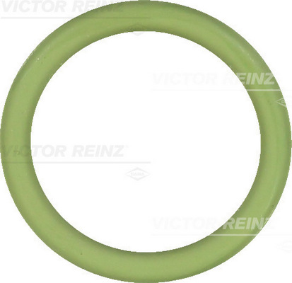 VICTOR REINZ Pakningsring 407657910 for VAG