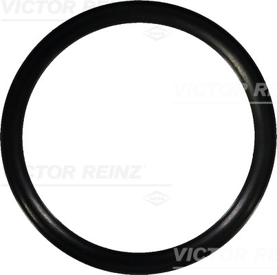 VICTOR REINZ Pakningsring 407658300 for MERCEDES-BENZ
