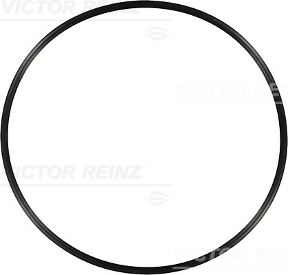 VICTOR REINZ Pakningsring 407660300 for MAN MERCEDES-BENZ