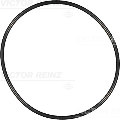 VICTOR REINZ Pakningsring 407667500 for MAN MERCEDES-BENZ