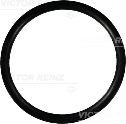 VICTOR REINZ Pakningsring 407668100 for MERCEDES-BENZ VAG