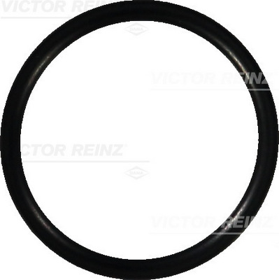 VICTOR REINZ Pakningsring 407669000 for VAG