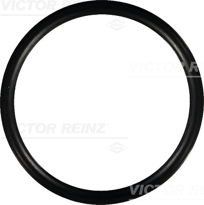 VICTOR REINZ Pakning, indsugningsmanifold 407675200 for VOLVO PEUGEOT RENAULT