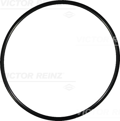 VICTOR REINZ Pakning, indsugningsmanifold 407676620 for BMW MERCEDES-BENZ