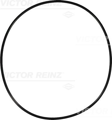 VICTOR REINZ Pakningsring 407690500 for VAG