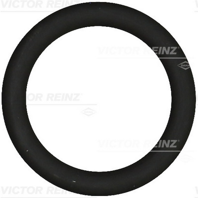 VICTOR REINZ Pakning, indsugningsmanifold 407691900 for FORD MINI VOLVO MAZDA PEUGEOT