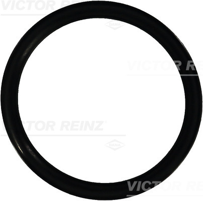 VICTOR REINZ Pakningsring 407693310 for MERCEDES-BENZ