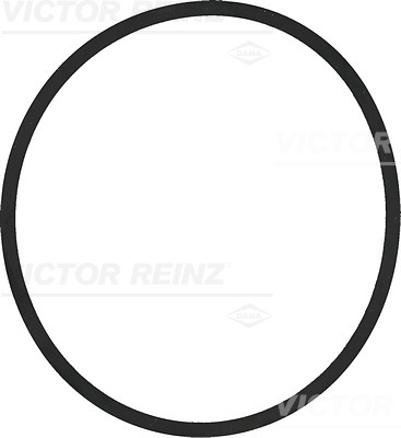 VICTOR REINZ Pakningsring 407721100 for MAN MERCEDES-BENZ