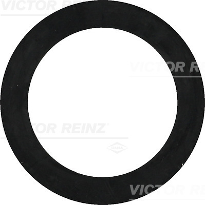 VICTOR REINZ Pakningsring 407732200