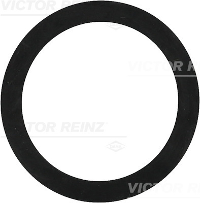 VICTOR REINZ Pakningsring 407739200 for FIAT FORD