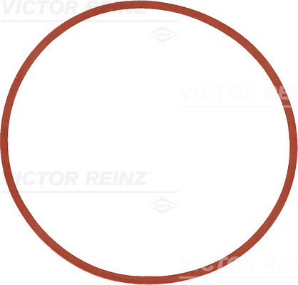 VICTOR REINZ Pakning, indsugningsmanifold 407753500 for BMW