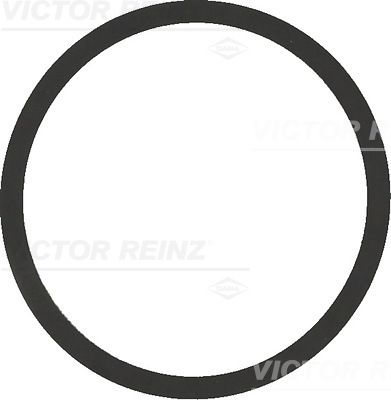 VICTOR REINZ 407754200 for VAG