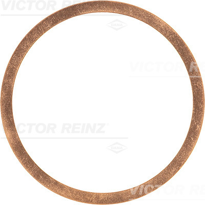 VICTOR REINZ 417037100
