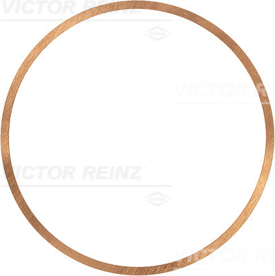 VICTOR REINZ 417056410 for RENAULT MWM
