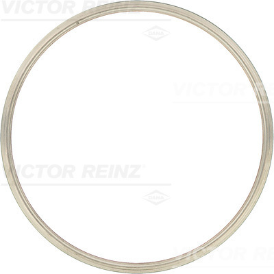 VICTOR REINZ 612473500 for MWM