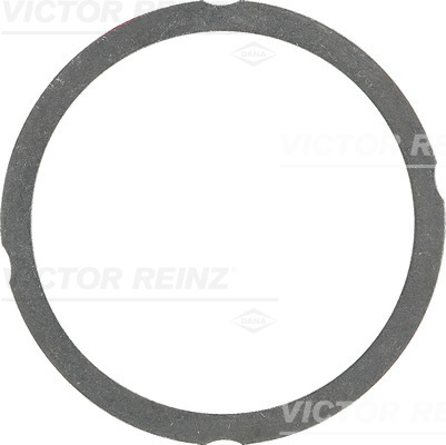 VICTOR REINZ 612547540
