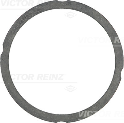 VICTOR REINZ 612547570