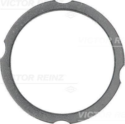 VICTOR REINZ 613826000