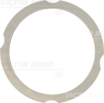 VICTOR REINZ 613826020