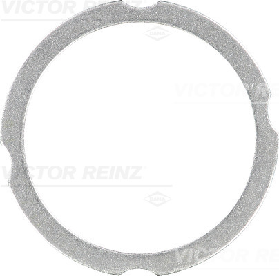 VICTOR REINZ 613826030