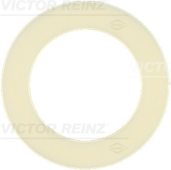 VICTOR REINZ Pakningsring, olieaftapningsskrue 702311700 for FORD SAAB