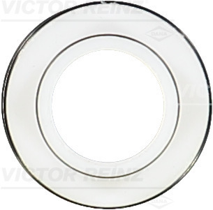 VICTOR REINZ 702336600 for MWM