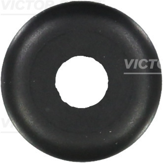 VICTOR REINZ 702448400