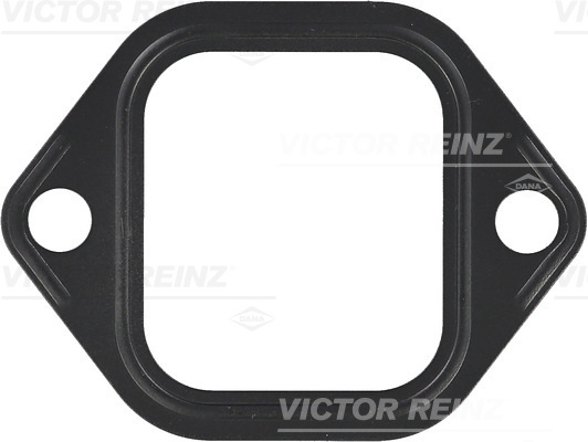 VICTOR REINZ 711049900 for MAN