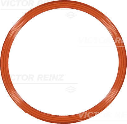VICTOR REINZ Pakning, indsugningsmanifoldhus 711082900 for VAG