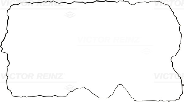 VICTOR REINZ 711132000 for DAF