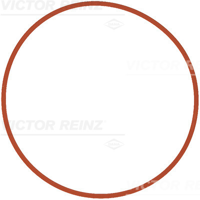 VICTOR REINZ Pakning, indsugningsmanifold 711140400 for BMW