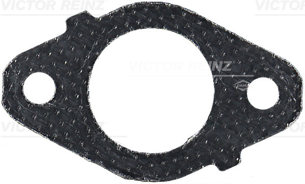 VICTOR REINZ 711296200 for IVECO