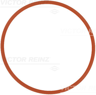 VICTOR REINZ 711737000 for BMW