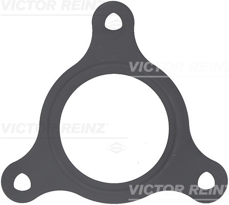 VICTOR REINZ 711758800 for MAN