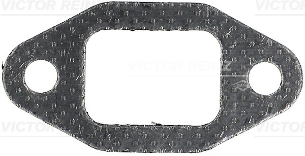 VICTOR REINZ 711797300 for IVECO