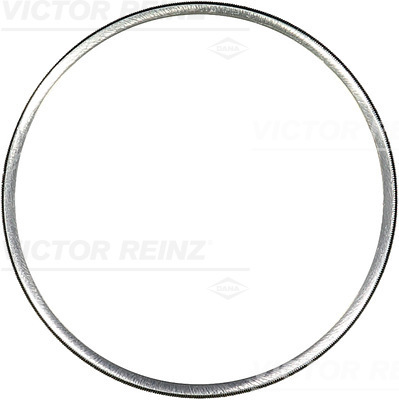 VICTOR REINZ 712466400 for DAF