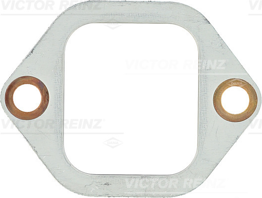 VICTOR REINZ 712506220 for MAN