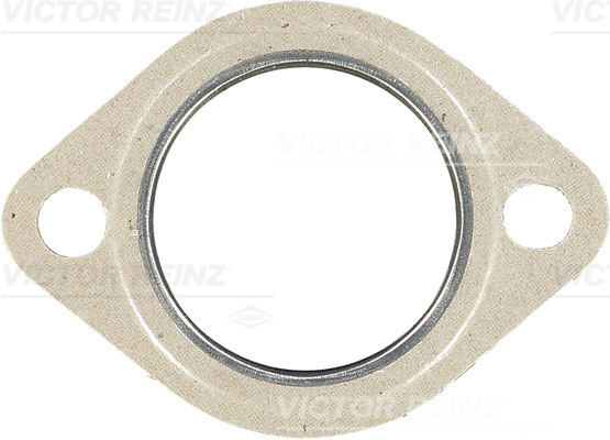 VICTOR REINZ 713352200 for BMW