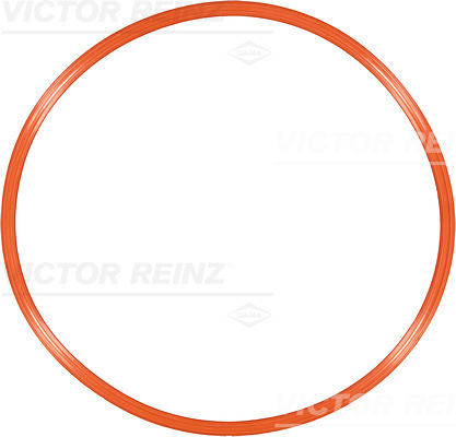 VICTOR REINZ 713393100 for IVECO