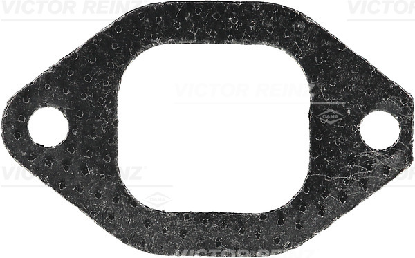 VICTOR REINZ 713395300 for IVECO