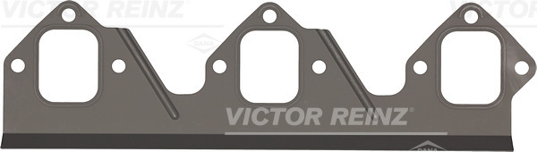 VICTOR REINZ 713396700 for IVECO