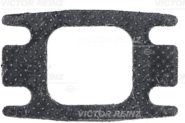 VICTOR REINZ 713397300 for IVECO