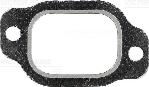 VICTOR REINZ 713398300 for IVECO